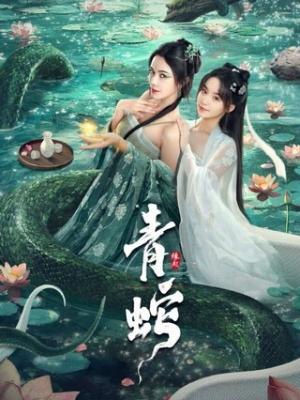 网络剧